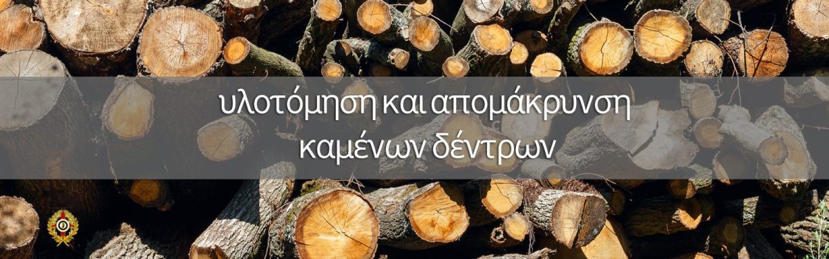 υλοτόμηση και απομάκρυνση των καμένων και απονεκρωμένων δέντρων