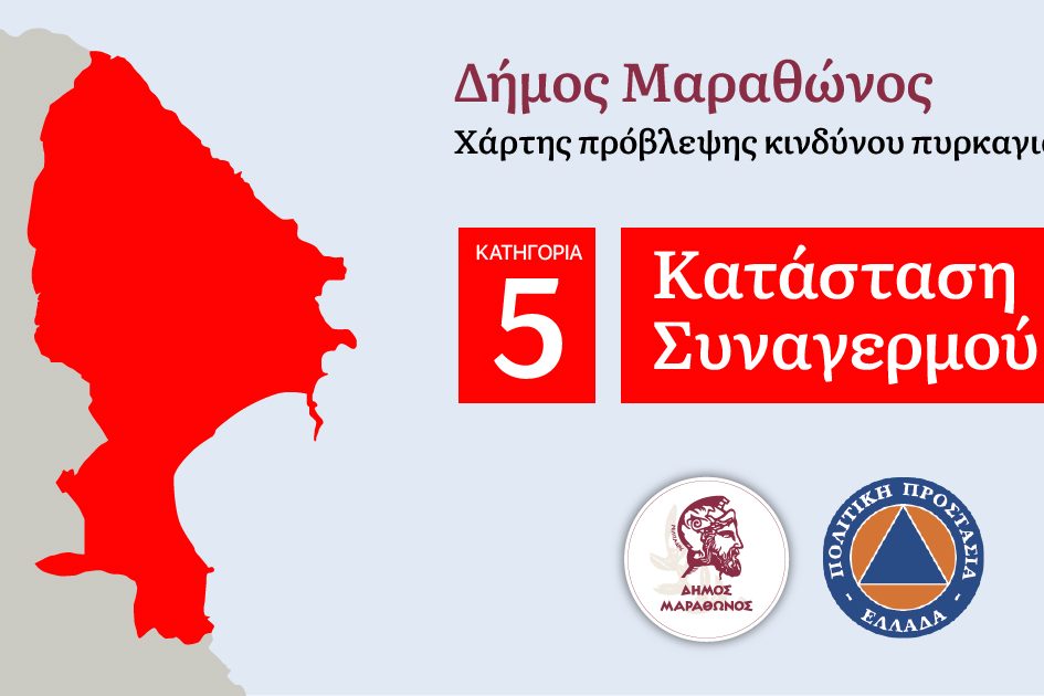 cat_5-provlepsi-pyrkagias