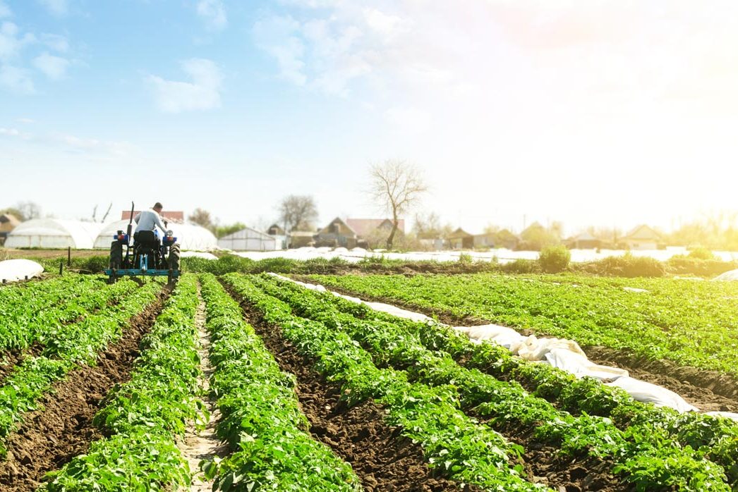 enisxysi-agrotikis-paragogis